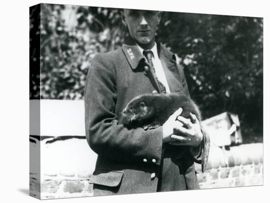 Keeper Leslie Martin Flewin Cradles an Otter Pup in His Arms at London Zoo, June 1922-Frederick William Bond-Premier Image Canvas