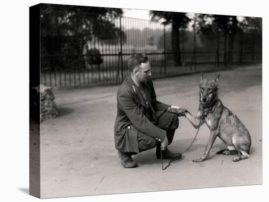 Keeper Leslie Martin Flewin with Peter, a Tame Wolf-Frederick William Bond-Premier Image Canvas