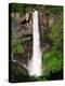 Kegon Water Falls-null-Premier Image Canvas