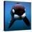 Keiko the Killer Whale-null-Premier Image Canvas