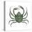 Kelp Crab (Pugettia Producta), Crustaceans-Encyclopaedia Britannica-Stretched Canvas