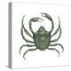 Kelp Crab (Pugettia Producta), Crustaceans-Encyclopaedia Britannica-Stretched Canvas