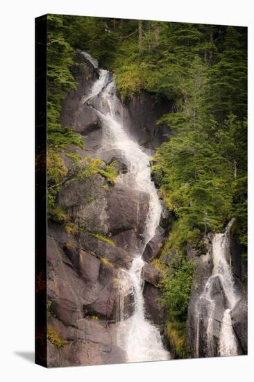 Kenai Peninsula. Two waterfalls surrounded by pine trees-Janet Muir-Premier Image Canvas