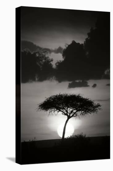 Kenta Sunrise BW-Susann Parker-Premier Image Canvas