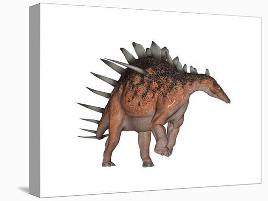 Kentrosaurus Dinosaur, White Background-null-Stretched Canvas