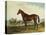 Kentucky-Edward Troye-Premier Image Canvas