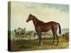 Kentucky-Edward Troye-Premier Image Canvas