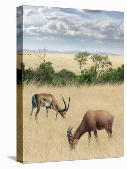 Kenya 2-Ben Heine-Premier Image Canvas