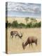 Kenya 2-Ben Heine-Premier Image Canvas