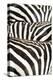 Kenya, Amboseli National Park, Close Up on Zebra Stripes-Anthony Asael-Premier Image Canvas