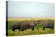 Kenya, Amboseli National Park, Elephant Kissing-Anthony Asael/Art in All of Us-Premier Image Canvas