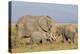 Kenya, Amboseli National Park, Elephant (Loxodanta Africana)-Alison Jones-Premier Image Canvas
