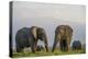 Kenya, Amboseli National Park, Elephant-Alison Jones-Premier Image Canvas