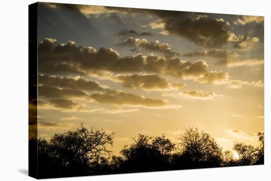 Kenya, Chyulu Hills, Old Donyo Wuas Lodge, Mbirikani, Sunrise-Alison Jones-Premier Image Canvas