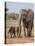 Kenya, Kajiado County, Amboseli National Park. a Female African Elephant with Two Small Babies.-Nigel Pavitt-Premier Image Canvas