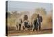 Kenya, Kajiado County, Amboseli National Park. a Herd of African Elephants on the Move.-Nigel Pavitt-Premier Image Canvas