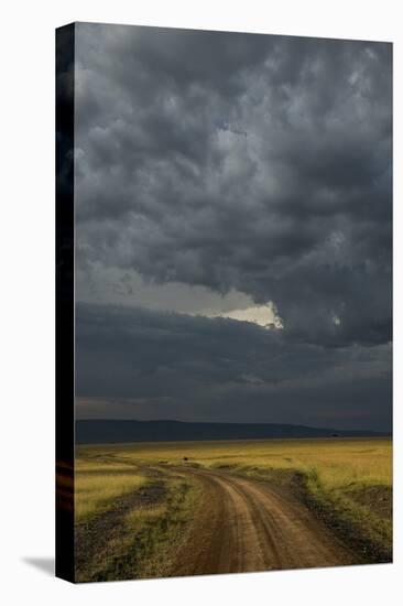 Kenya, Maasai Mara, Mara River Basin, Storm Cloud at Sunset and Road-Alison Jones-Premier Image Canvas