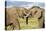 Kenya, Maasai Mara, Mara Triangle, Mara River Basin, African Elephant-Alison Jones-Premier Image Canvas