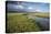 Kenya, Maasai Mara, Mara Triangle, Wetland Called 'Governor's Swamp'-Alison Jones-Premier Image Canvas