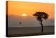 Kenya, Maasai Mara, Sunrise Behind Balanites Tree and Hot Air Balloon-Alison Jones-Premier Image Canvas