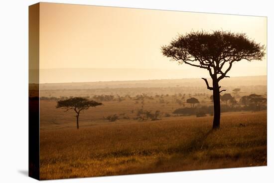 Kenya, Mara North Conservancy. Mara North Landscape at Dawn.-Niels Van Gijn-Premier Image Canvas