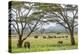 Kenya, Meru County-Nigel Pavitt-Premier Image Canvas