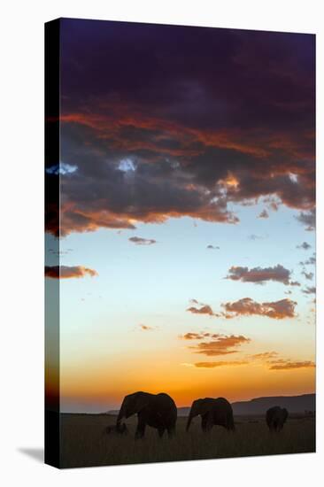 Kenya, Narok County, Masai Mara. Elephants Silhouetted Against a Beautiful Sky at Sunset.-Nigel Pavitt-Premier Image Canvas