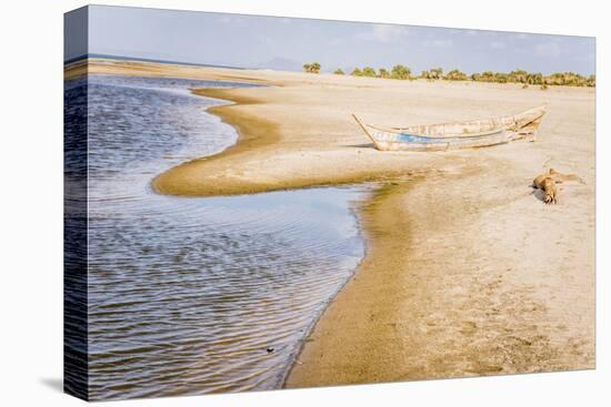 Kenya. Omo River Basin, Lake Turkana Basin, west shore of Lake Turkana, Lobolo Camp beach.-Alison Jones-Premier Image Canvas