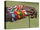 Kenya, Samburu County-Nigel Pavitt-Premier Image Canvas