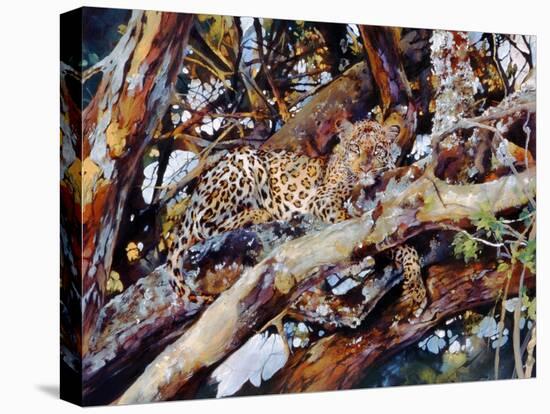 Kenyan Leopard, 1997-Odile Kidd-Premier Image Canvas