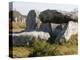 Kermario Menhirs in Carnac, Morbihan, Brittany, France, Europe-null-Premier Image Canvas