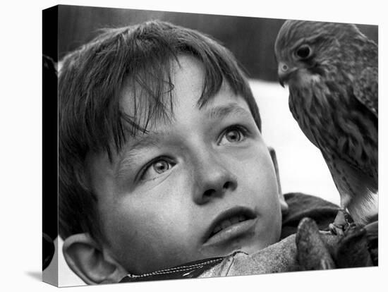 Kes, David Bradley, 1969-null-Stretched Canvas