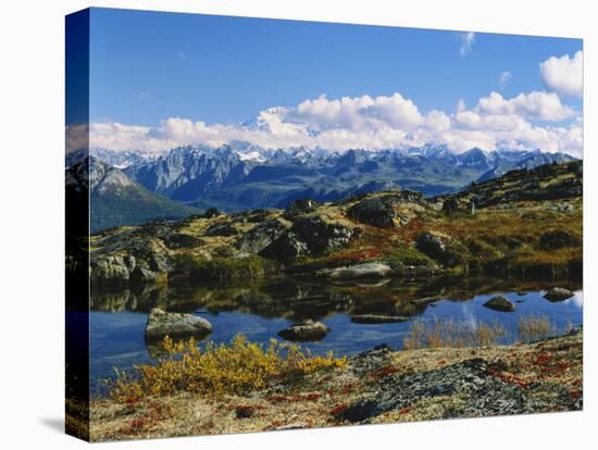 Kesugi Ridge, Denali National Park, Alaska, USA-Scott T. Smith-Premier Image Canvas