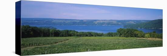 Keuka Lake, Finger Lakes, New York, USA-null-Premier Image Canvas