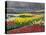 Keukenhof Gardens, Lisse, Netherlands, Holland-Adam Jones-Premier Image Canvas