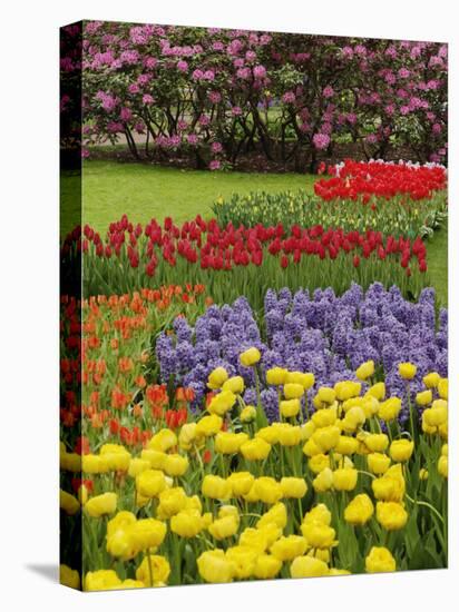 Keukenhof Gardens, Lisse, Netherlands, Holland-Adam Jones-Premier Image Canvas