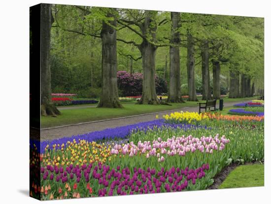 Keukenhof Gardens, Lisse, Netherlands, Holland-Adam Jones-Premier Image Canvas