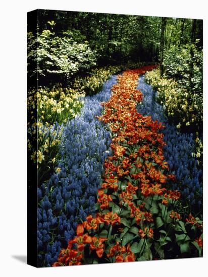 Keukenhof Gardens, Lisse, Netherlands-null-Premier Image Canvas