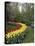 Keukenhof Gardens, Lisse, Netherlands-null-Premier Image Canvas