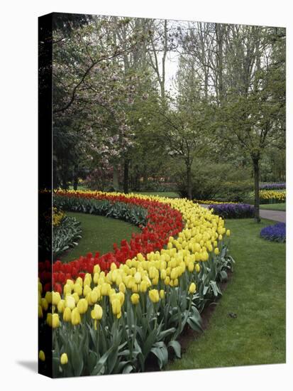 Keukenhof Gardens, Lisse, Netherlands-null-Premier Image Canvas