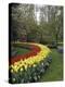 Keukenhof Gardens, Lisse, Netherlands-null-Premier Image Canvas