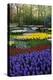 Keukenhof Gardens Near Lisse in Springtime Bloom-Darrell Gulin-Premier Image Canvas