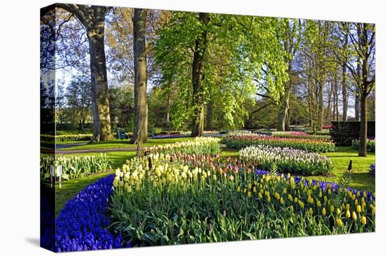 Keukenhof near Lisse, South Holland, Netherlands, Europe-Hans-Peter Merten-Premier Image Canvas