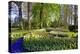 Keukenhof near Lisse, South Holland, Netherlands, Europe-Hans-Peter Merten-Premier Image Canvas