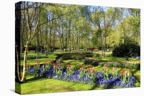 Keukenhof near Lisse, South Holland, Netherlands, Europe-Hans-Peter Merten-Premier Image Canvas