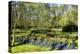 Keukenhof near Lisse, South Holland, Netherlands, Europe-Hans-Peter Merten-Premier Image Canvas