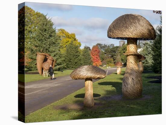 Kew Fungi-Charles Bowman-Premier Image Canvas