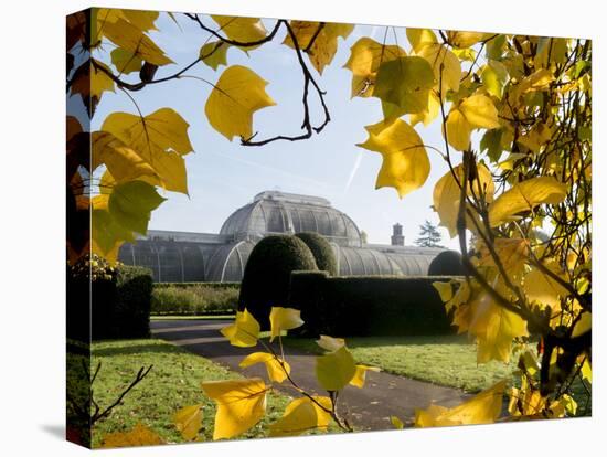 Kew Palm House Autumn 1-Charles Bowman-Premier Image Canvas