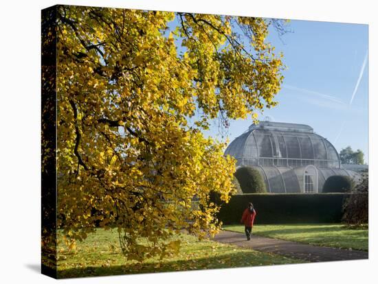 Kew Palm House Autumn-Charles Bowman-Premier Image Canvas