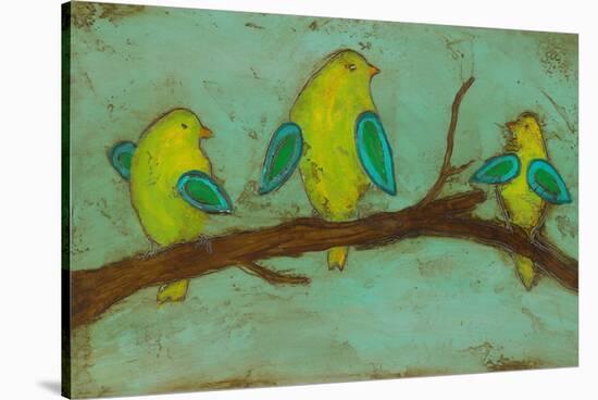 Key Lime Finches I-Anne Hempel-Stretched Canvas